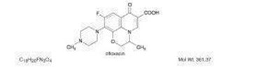 Image Description (Module 1)
